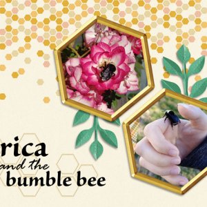 Erica and the bumble bee