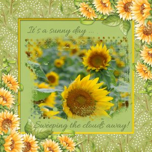 It's a sunny day ... sweeping the clouds away!