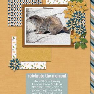 Celebrate the Moment