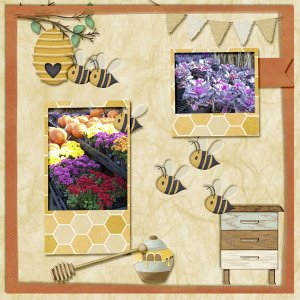 Fall Flowers