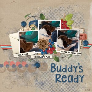 Buddy