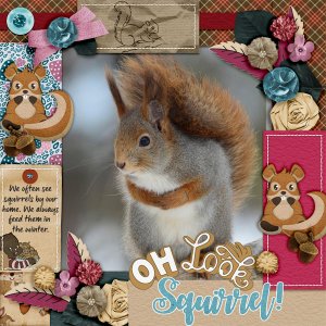 Oh-look-squirrel