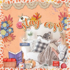 Stay Cozy