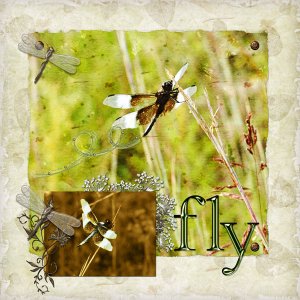Fly