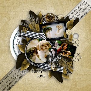 pjk-Gold Vintage