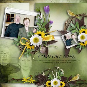 pjk-Comfort Zone