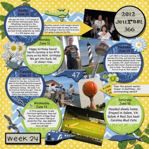 Journal 366, Week 24
