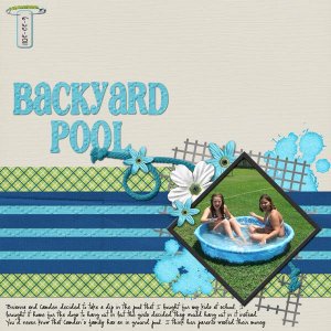 backyard pool