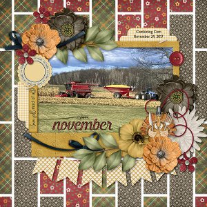 This Is November