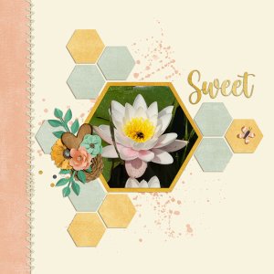 sweet bumblebee