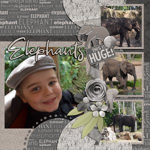 Elephants
