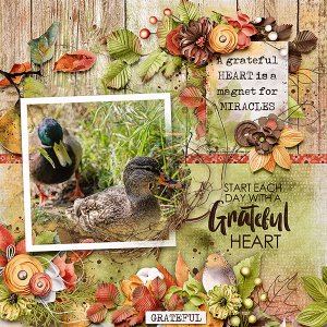 Grateful Heart
