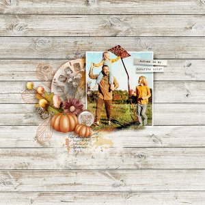 autumn is my favorite color