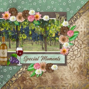 Special Memories