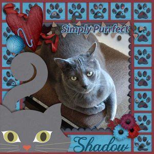 Shadow