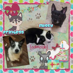 Missy and Princess