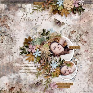pieces of fall