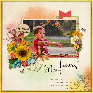 Many leaves