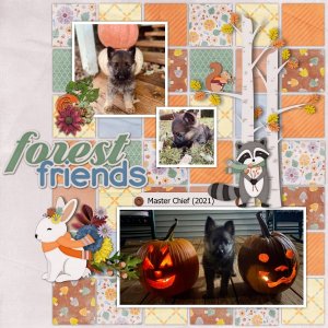 Forest Friends