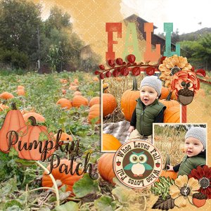 pumpkin patch