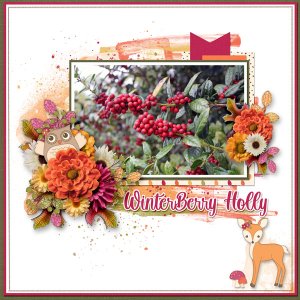 Winterberry Holly