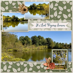It's leaf Peeping Season