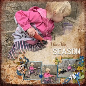 Season