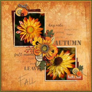 Fall Autumn Leaves
