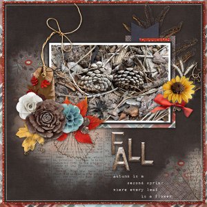Fall Pinecones