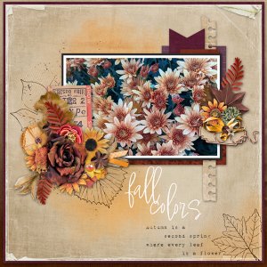 jBS_fallingColors_MFish_AutumnDreams_02