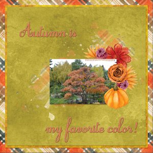 Autumn is my Favorite Color!