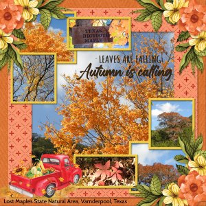 Autumn is calling!