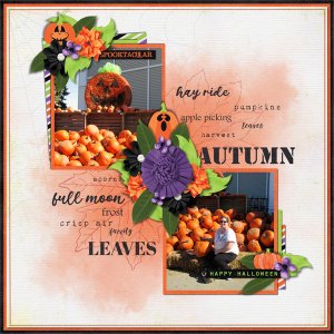 Autumn Pumpkins