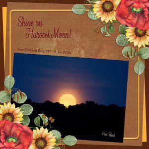 Shine on Harvest Moon!