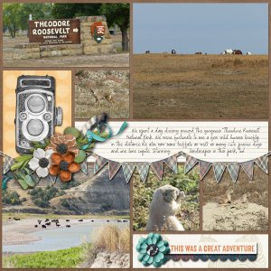 Theodore Roosevelt Park - Wildlife