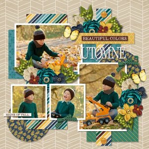 T. All year - october 1