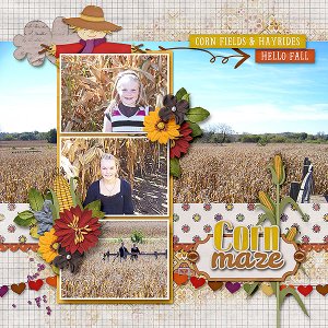 Corn Maze