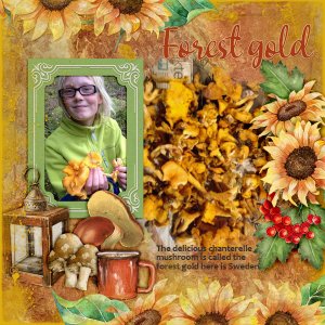 600-adbdesigns-harvest-season-pia-01