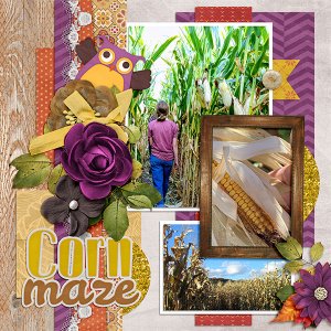 In the Corn Maze