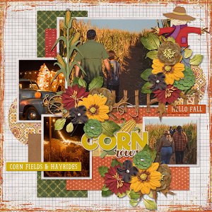 Corn Maze