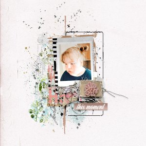 sbasic-takethepicture-Tracy