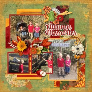 Autumn Memories