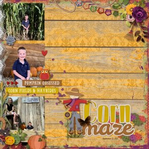 Corn Maze