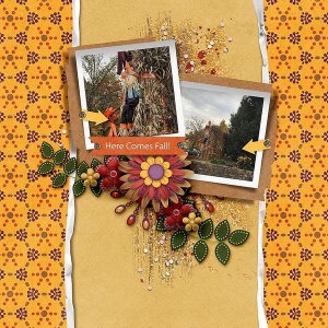Here Comes Fall