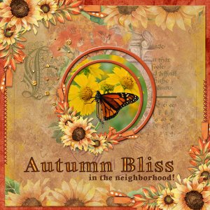 Autumn Bliss