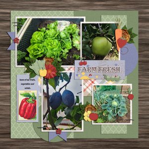 Our garden 2022