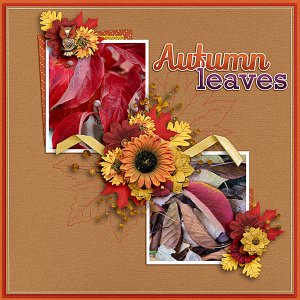 Fall-Leaves