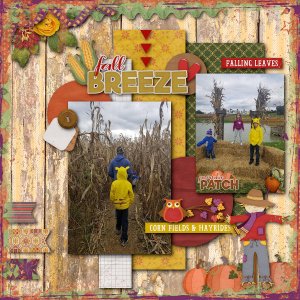 Corn Maze