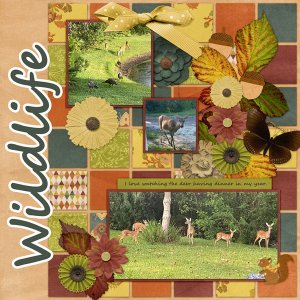 Wildlife