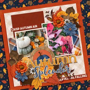 Autumn Splendor